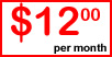 Professional Managed Hosting Package for $12.00!
