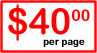 Advanced Web Page Design As Low As $40 per page!